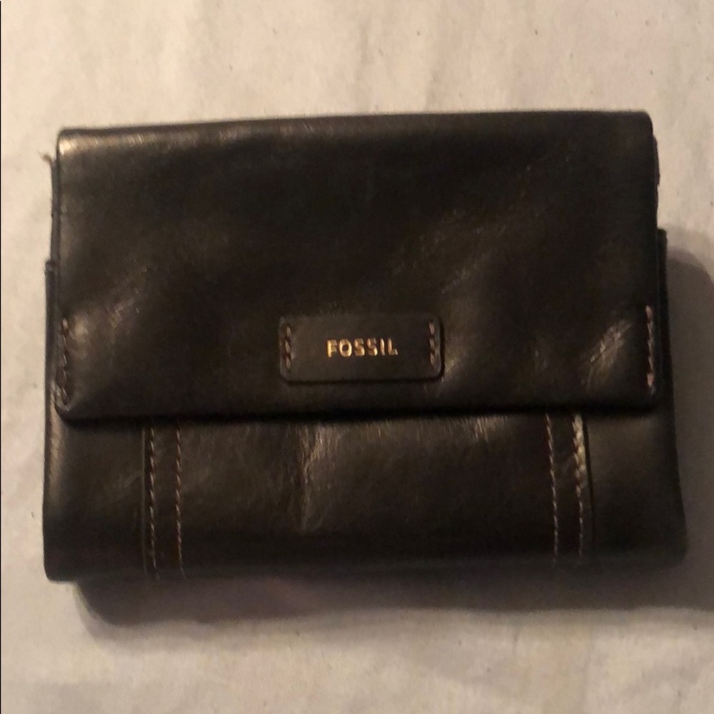 Fossil tri-fold